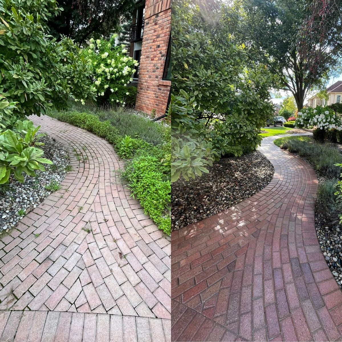 Brick paver walkway before and after pressure washing — grime lifted and the brick color restored.