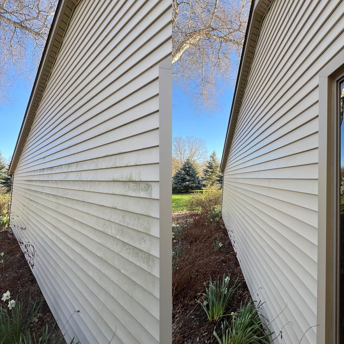 Vinyl house siding before and after soft washing — algae streaks cleaned away.